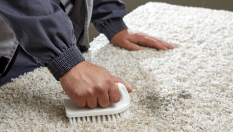 Professional Rug Cleaning Frankston